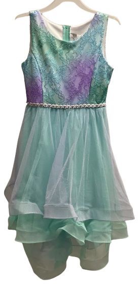 Emily Rose Girl's Dress 10